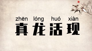 真龙活现