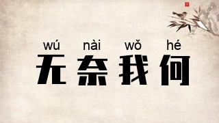 无奈我何
