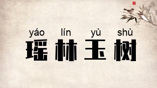 瑶林玉树
