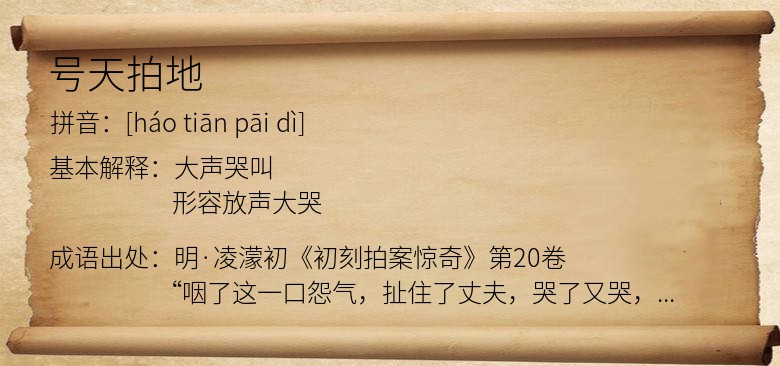 号天拍地