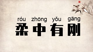 柔中有刚