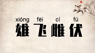 雄飞雌伏