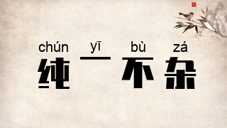 纯一不杂