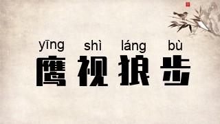 鹰视狼步