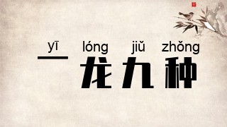 一龙九种