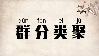群分类聚