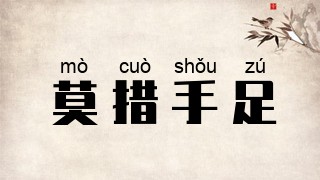 莫措手足