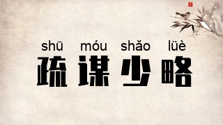 疏谋少略