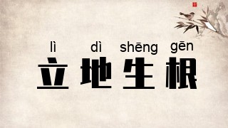 立地生根