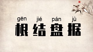 根结盘据