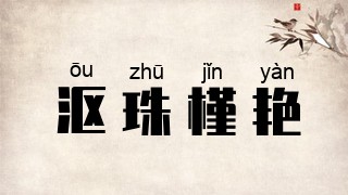 沤珠槿艳