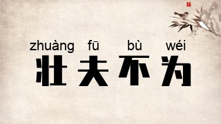 壮夫不为