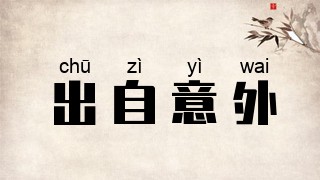 出自意外