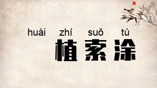擿植索涂