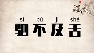 驷不及舌