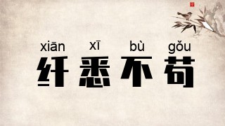 纤悉不苟