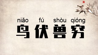 鸟伏兽穷