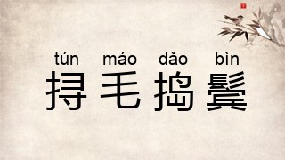 挦毛捣鬓