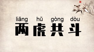 两虎共斗