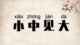小中见大