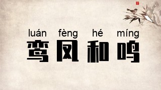 鸾凤和鸣