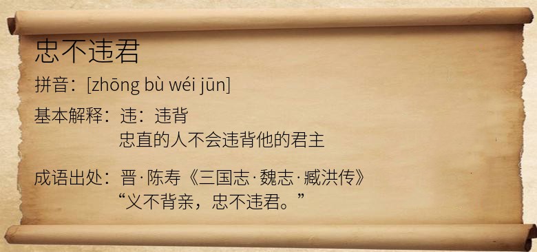 忠不违君