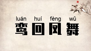 鸾回凤舞