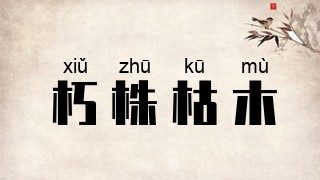 朽株枯木