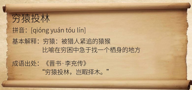穷猿投林