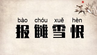 报雠雪恨