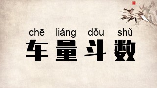 车量斗数