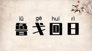 鲁戈回日