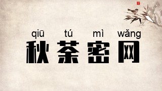 秋荼密网