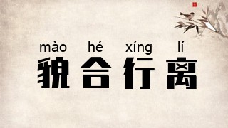 貌合行离