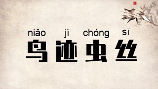 鸟迹虫丝