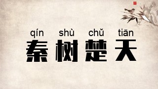 秦树楚天
