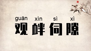 观衅伺隙