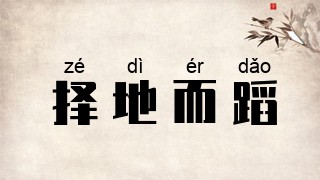 择地而蹈
