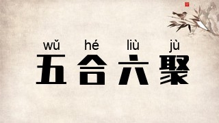 五合六聚