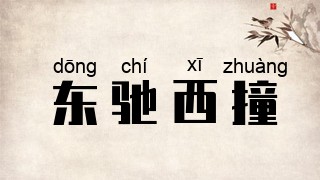 东驰西撞