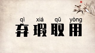 弃瑕取用