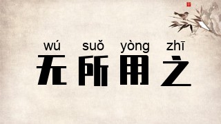 无所用之
