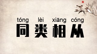 同类相从