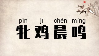 牝鸡晨鸣