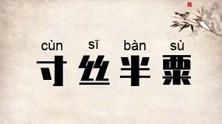 寸丝半粟
