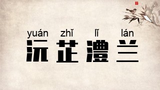 沅芷澧兰