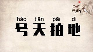 号天拍地