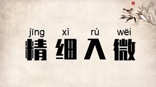 精细入微