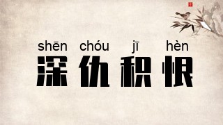 深仇积恨