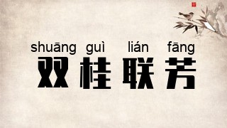 双桂联芳